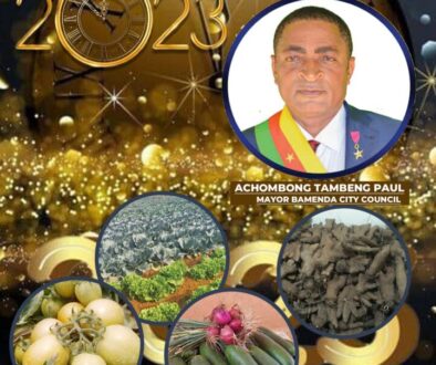 City Mayor's New Year Review Front cover